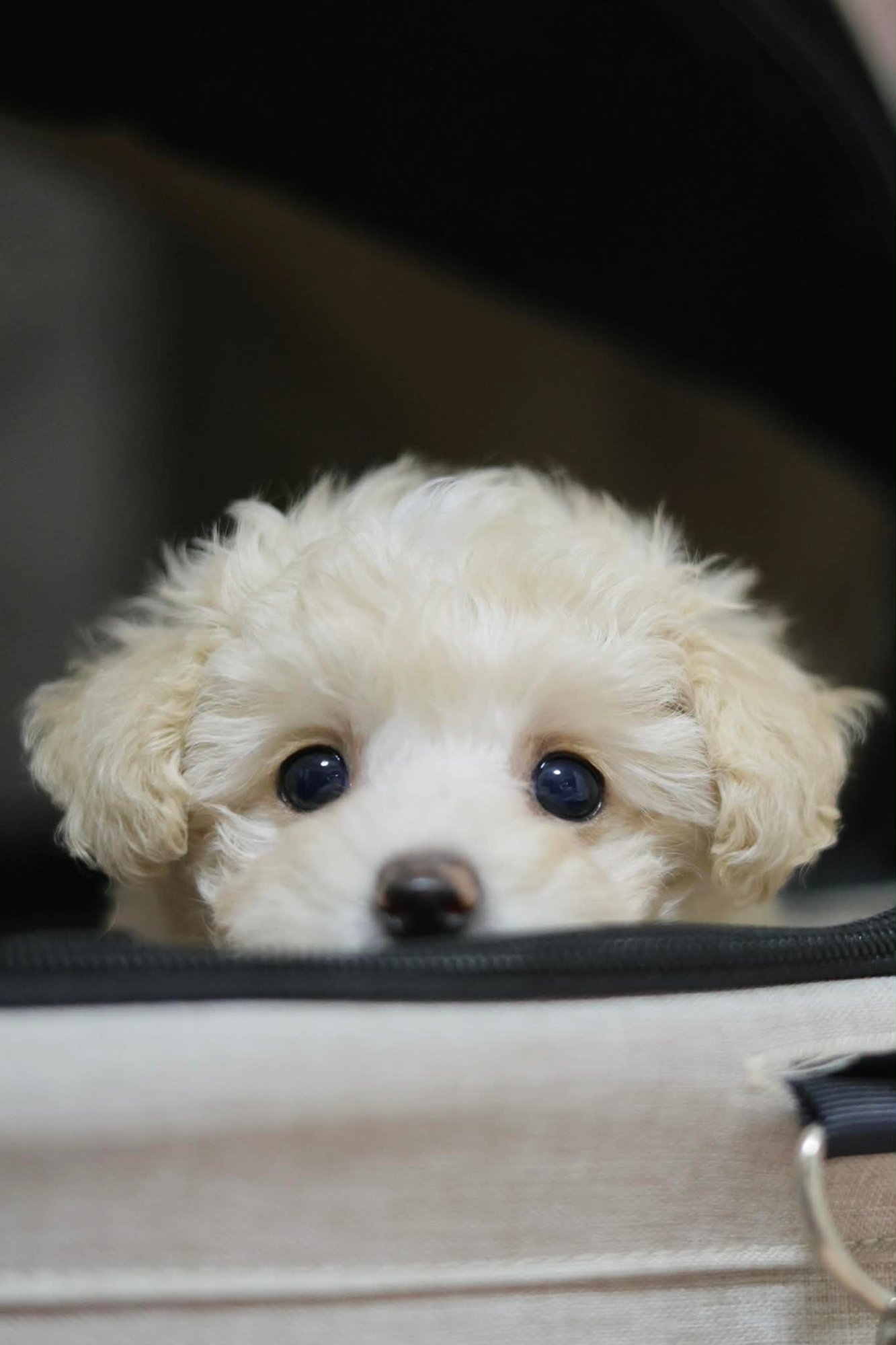 07fa0401-3c2e-4e38-a41a-ed07a3b406e0