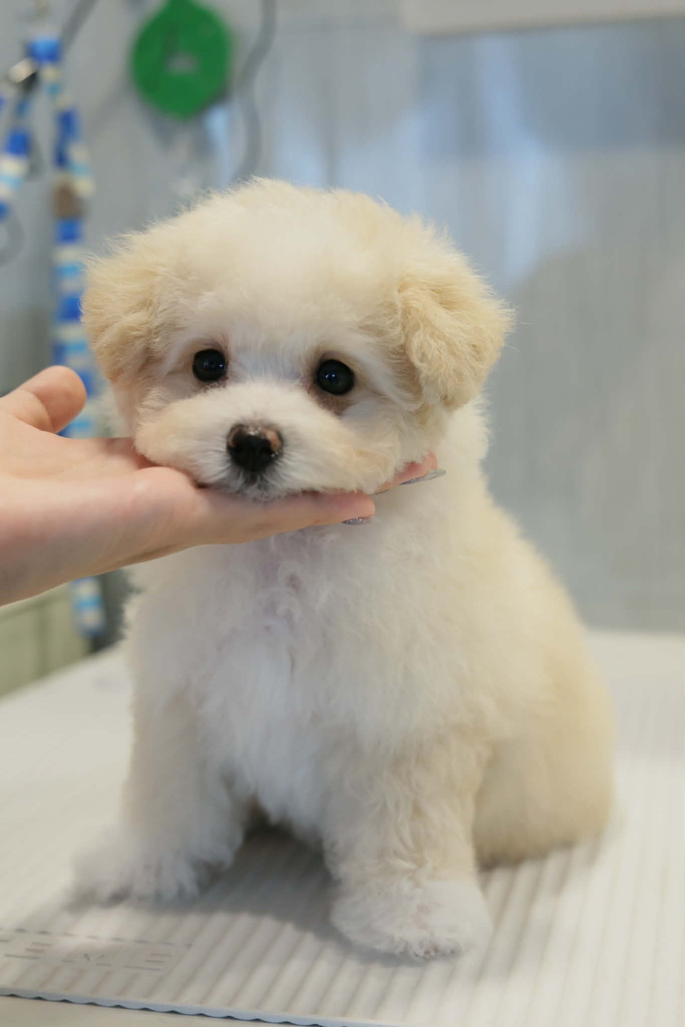 08a9908a-3608-4c4d-91dd-5a42d115344e