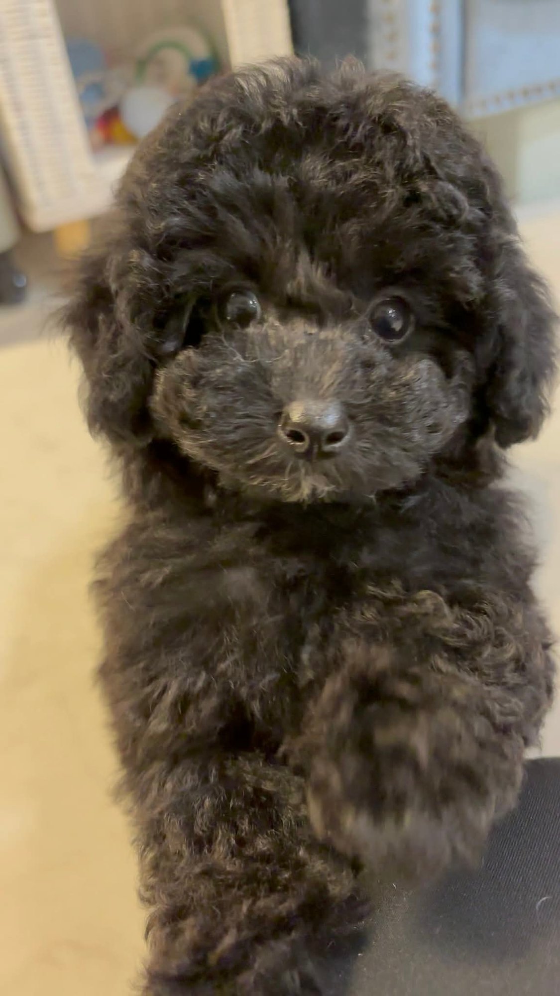 19188163-1bed-4362-abb3-bfc1e092bac6