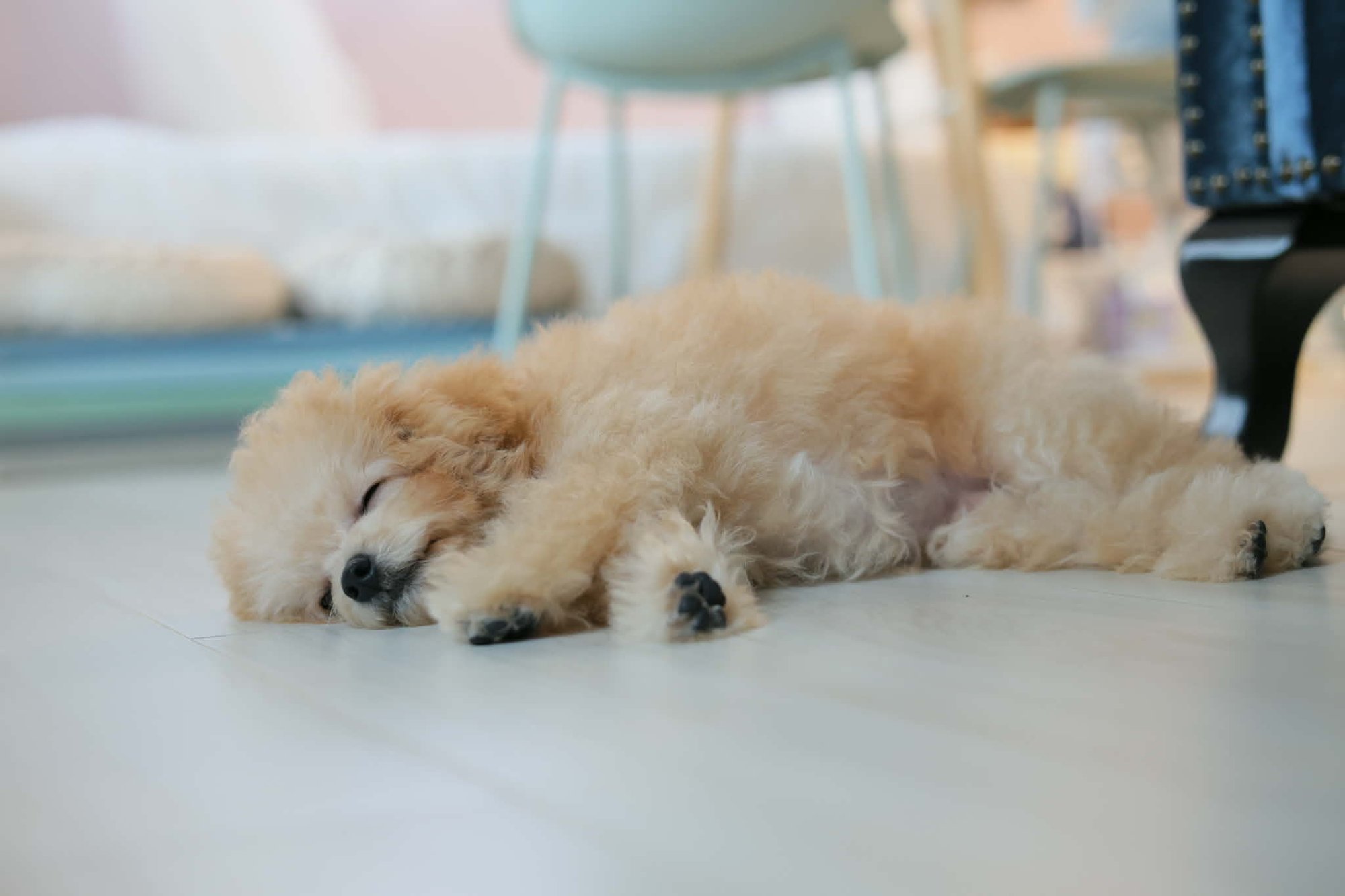 3c4700a6-7e1d-44fd-a68b-61571af60e97