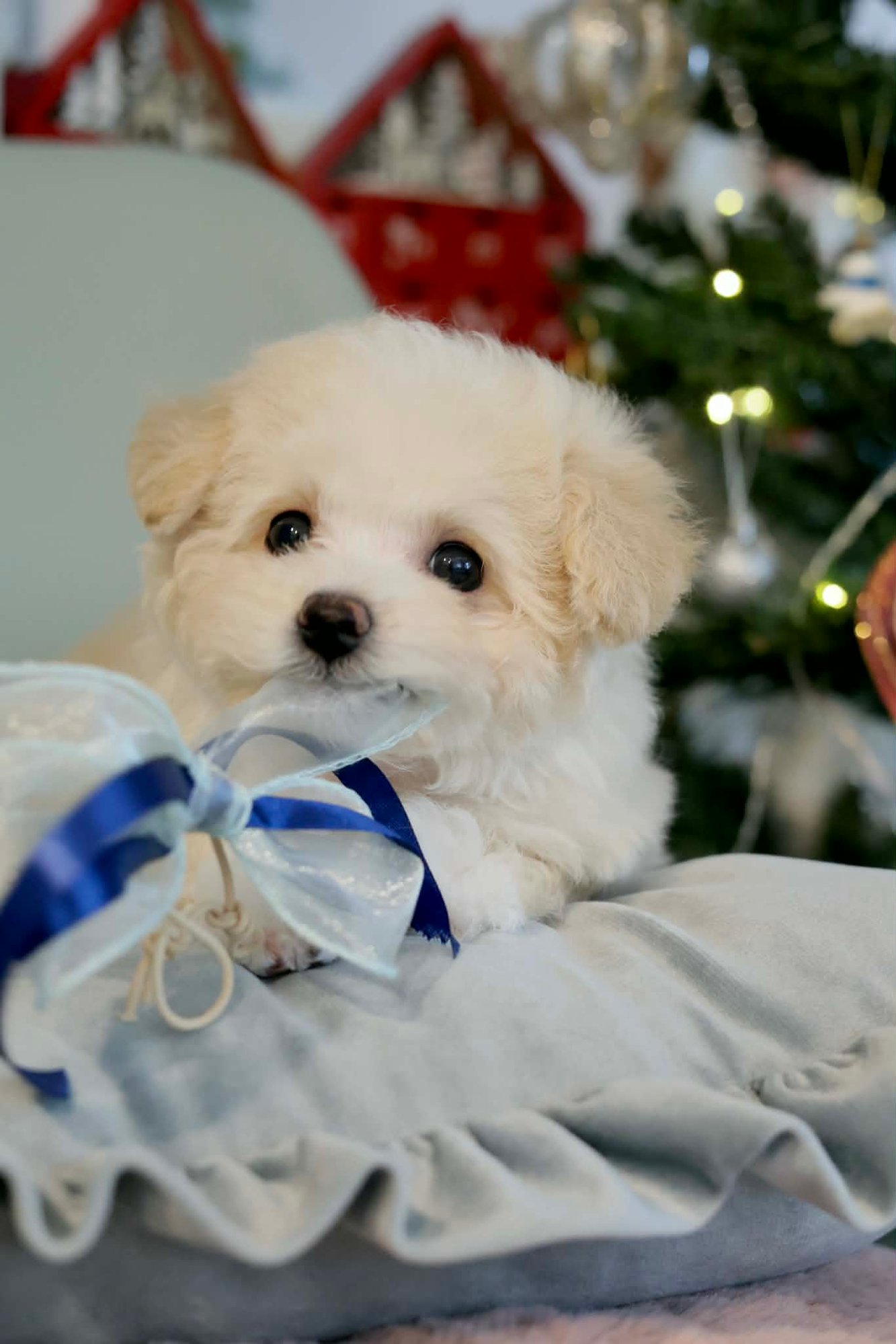 7d126cc7-f7bb-4722-bebe-006c229dc1ba