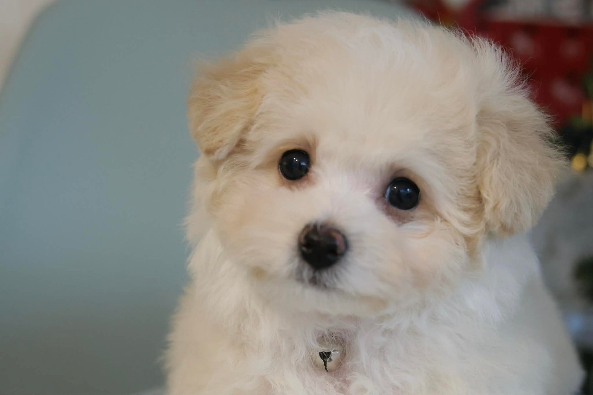 90385e28-f6ba-485d-a3a9-d42cec425529