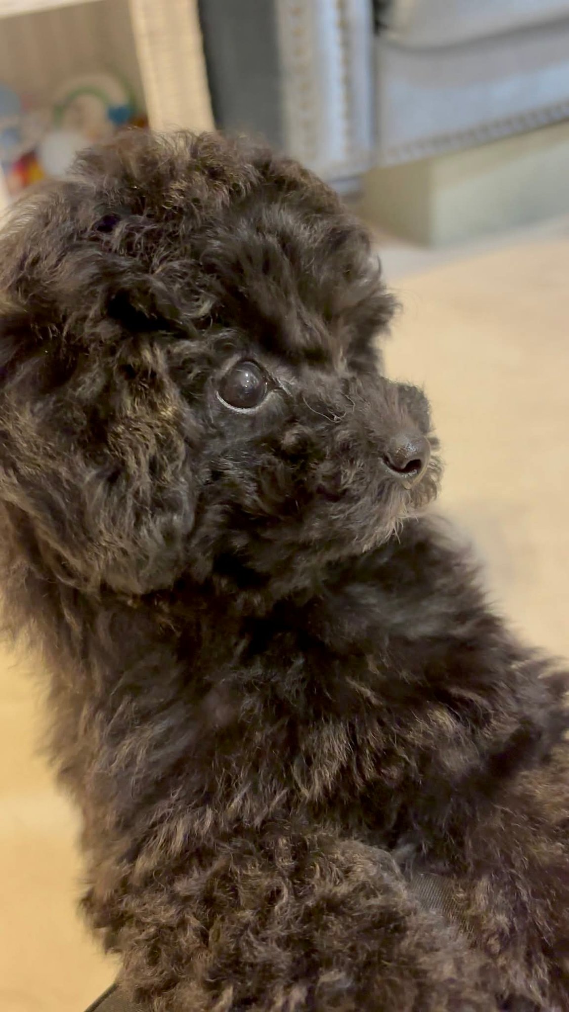 f7866931-9395-4b32-a848-3533a637dda4