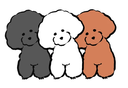 3頭のトイプードルのイラスト